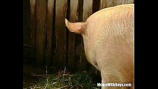 ass fucked milf in a barn