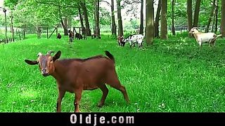 old guy gay hardcore