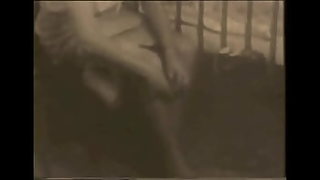old pussy vedieos